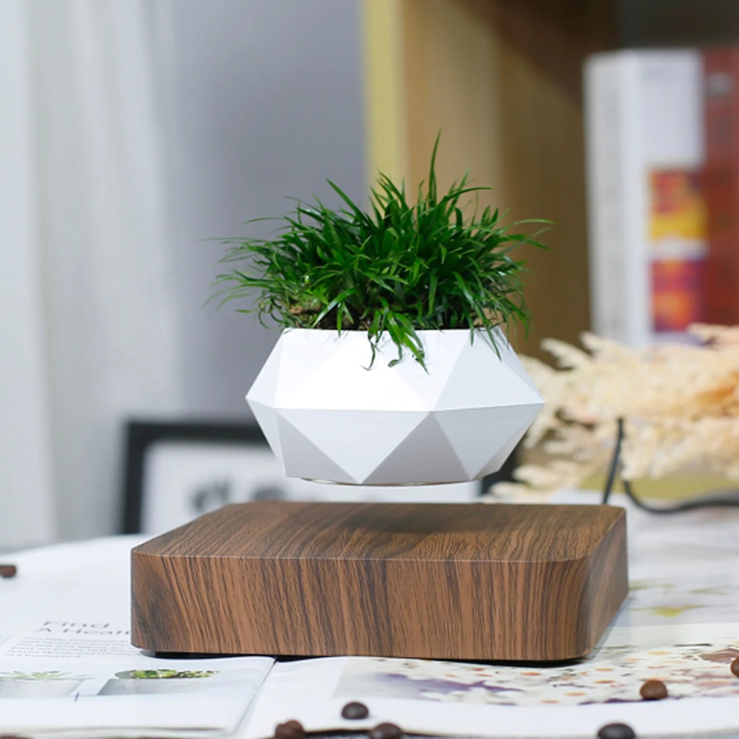 Levitating Plant Pot