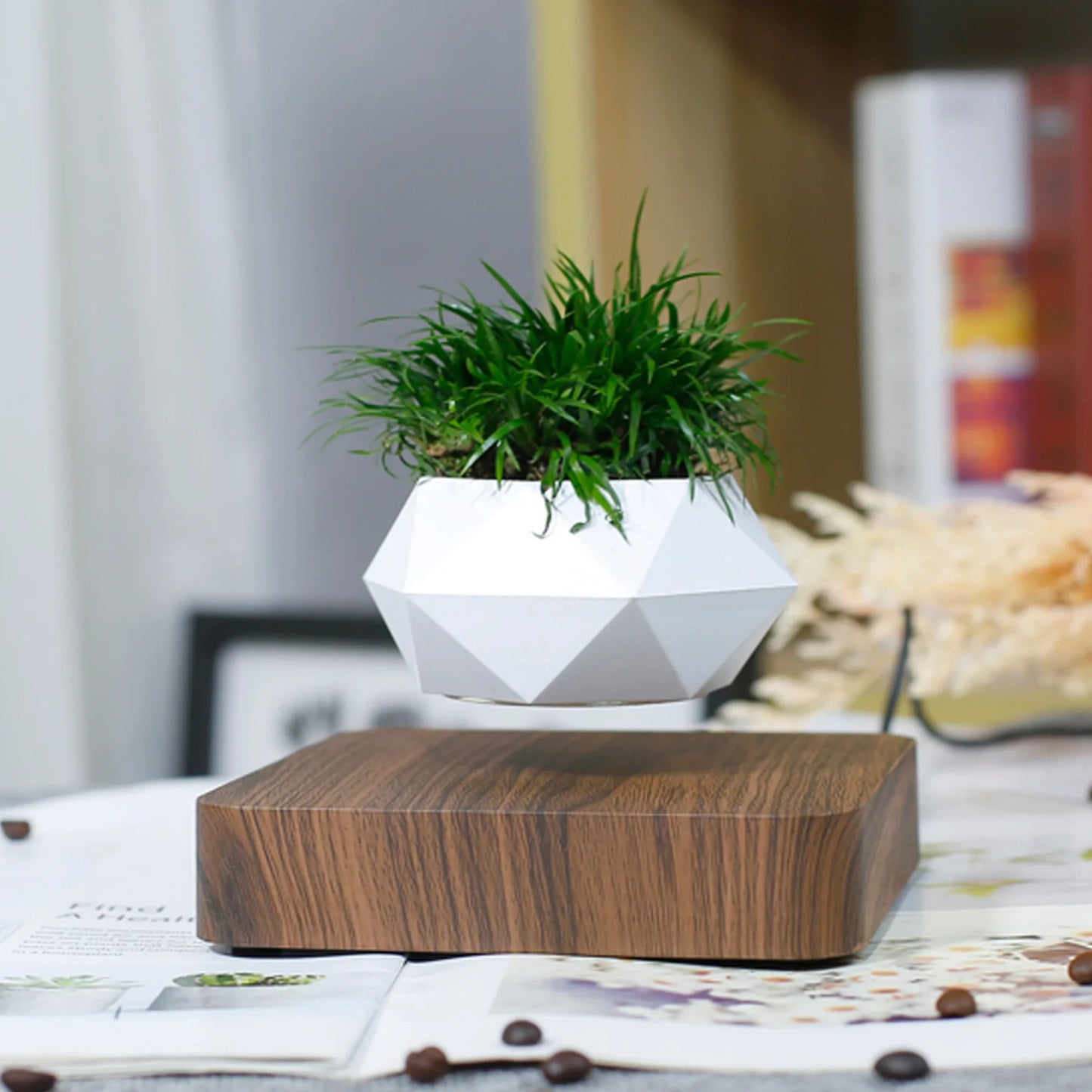 Levitating Plant Pot