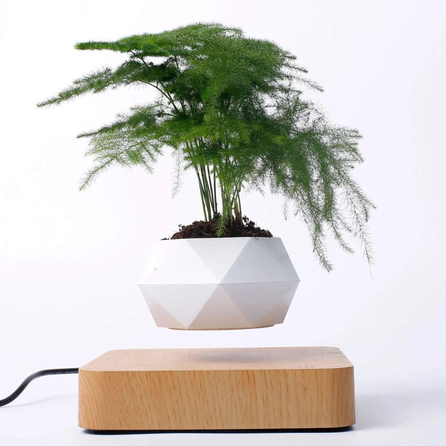 Levitating Plant Pot