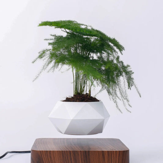 Levitating Plant Pot