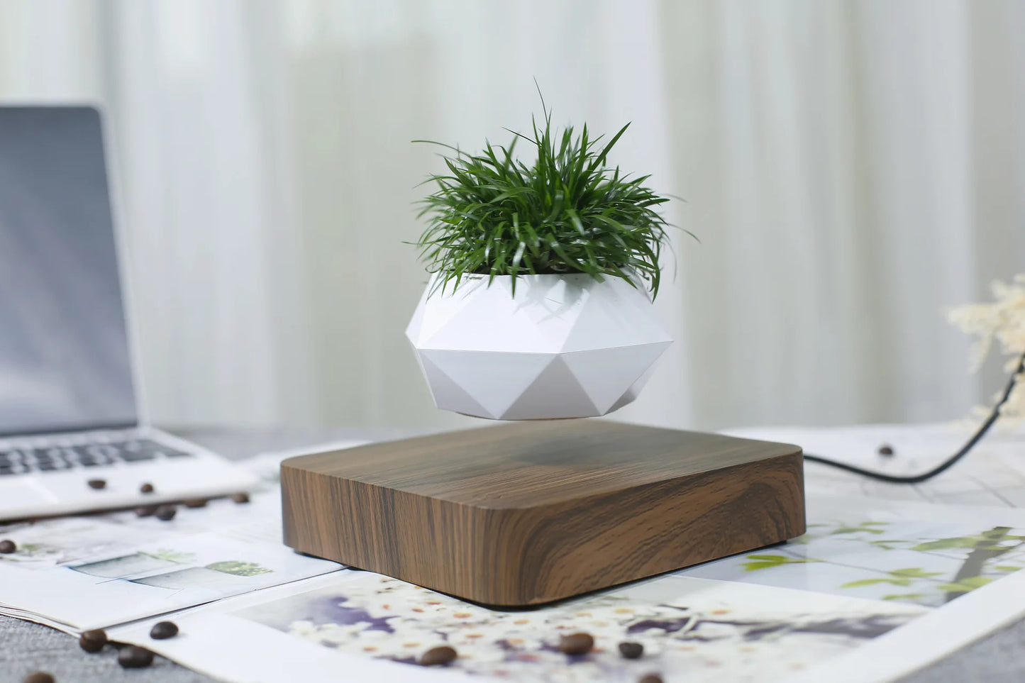 Levitating Plant Pot