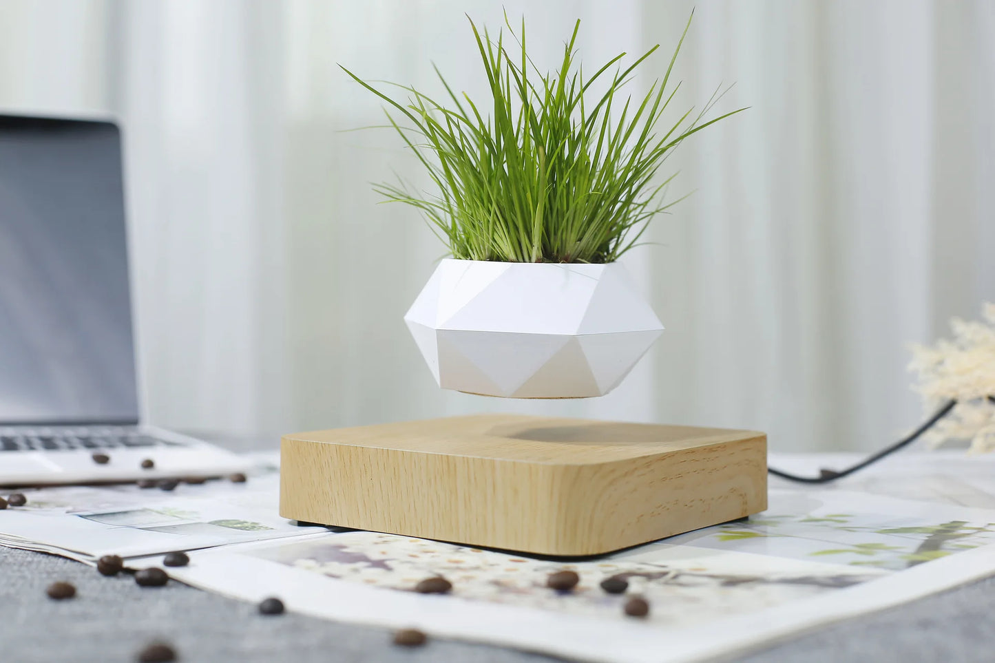 Levitating Plant Pot